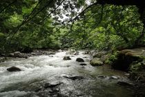 اخذ سند مالکیت برای 45 هکتار از اراضی بستر رودخانه های خلخال