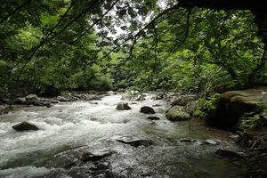 اخذ سند مالکیت برای ۹۰ هکتار از ارضی بستر رودخانه های کوثر