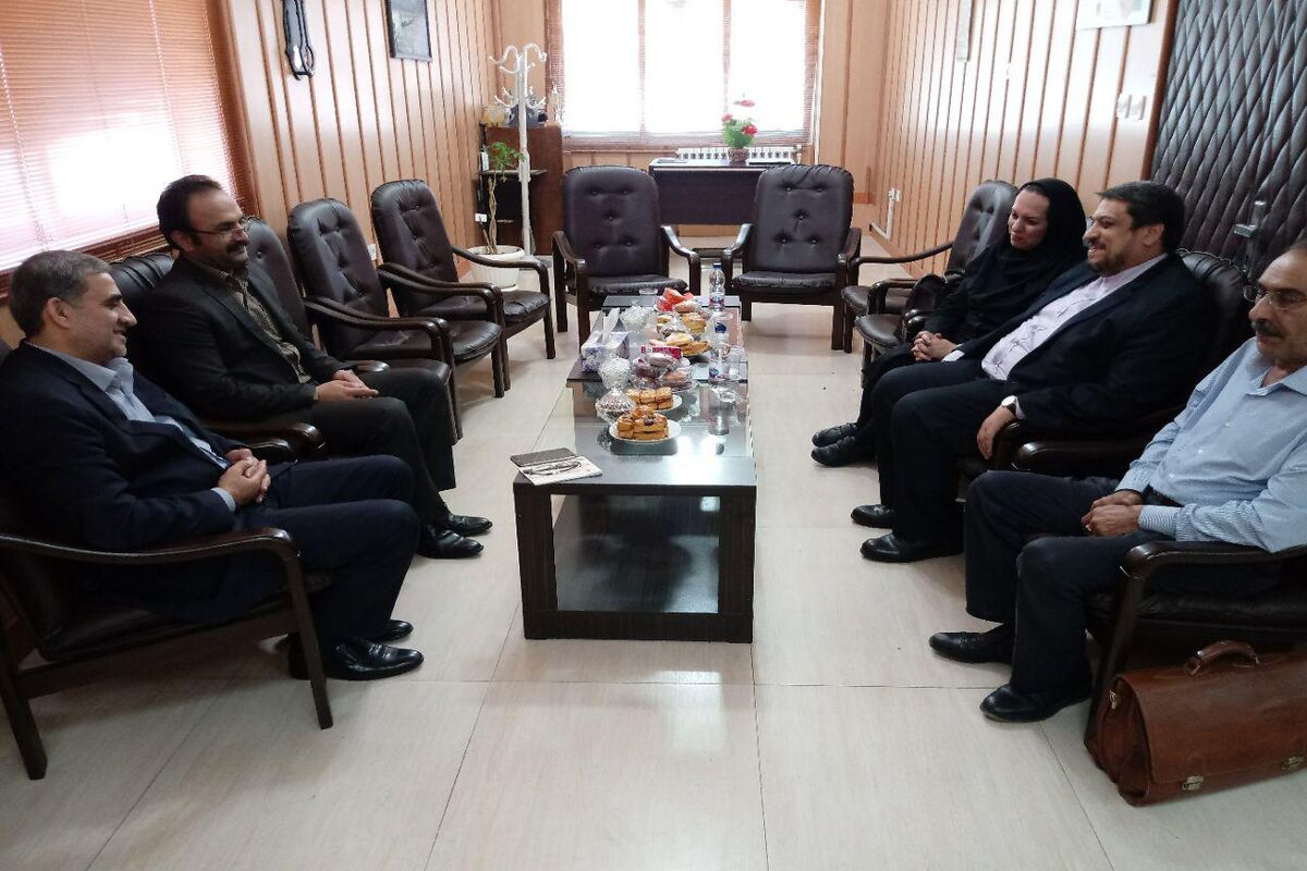 دیدار