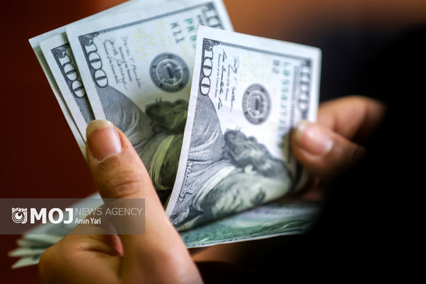 باید دلار را از اقتصاد کشور حذف کرد