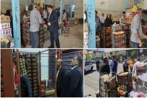 لزوم نظارت بیشتر بازرسان از محل سردخانه تا عرضه جهت ارائه خدمات