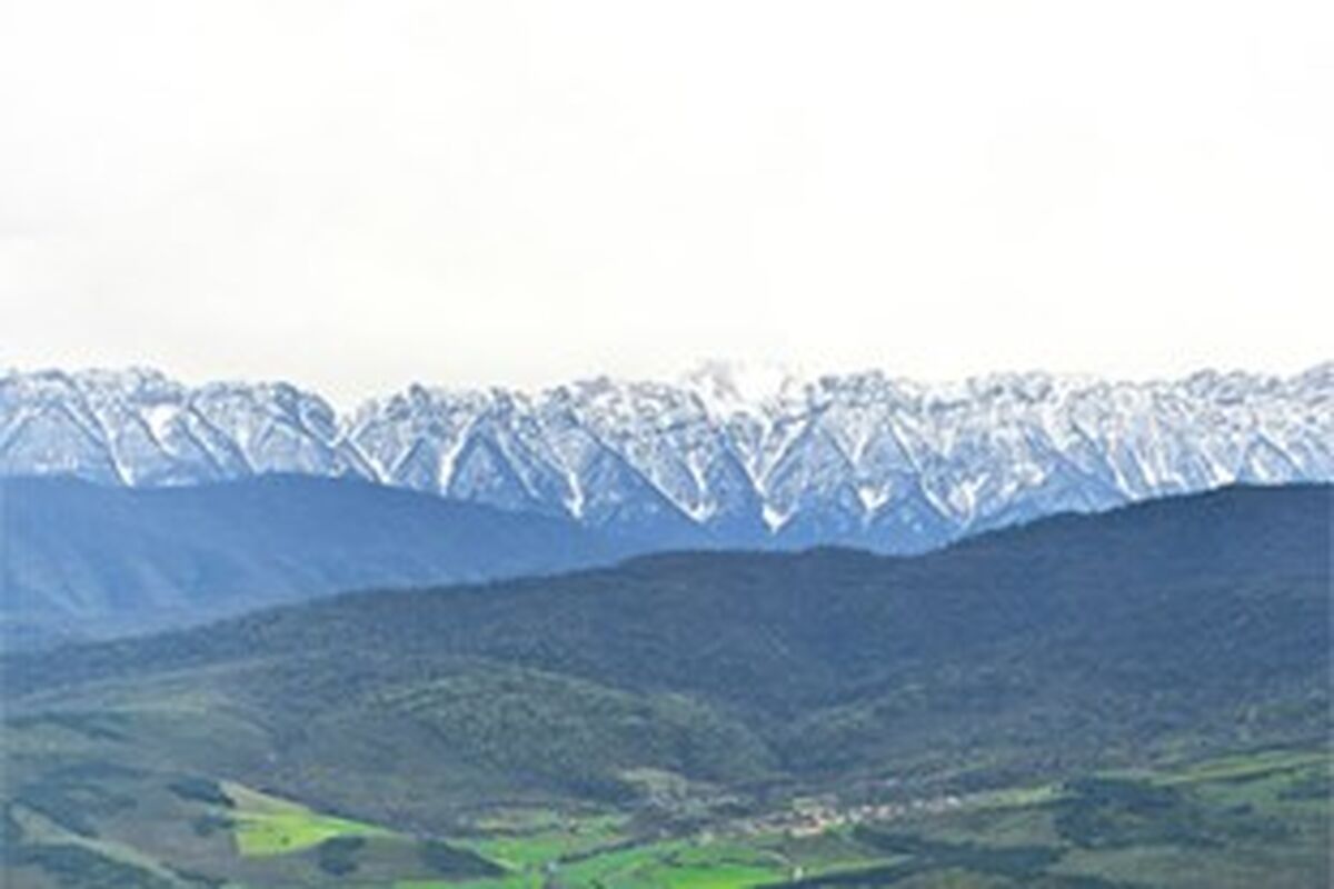 بوم گردی