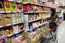 بسته های معیشتی برای مناطق آسیب دیده تهیه می شود