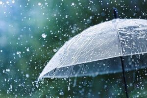 بارش در اغلب مناطق نیمه شمالی
