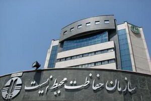 سازمان محیط زیست به گزارش مجلس درباره آتش‌سوزی جنگل‌های الیت واکنش نشان داد