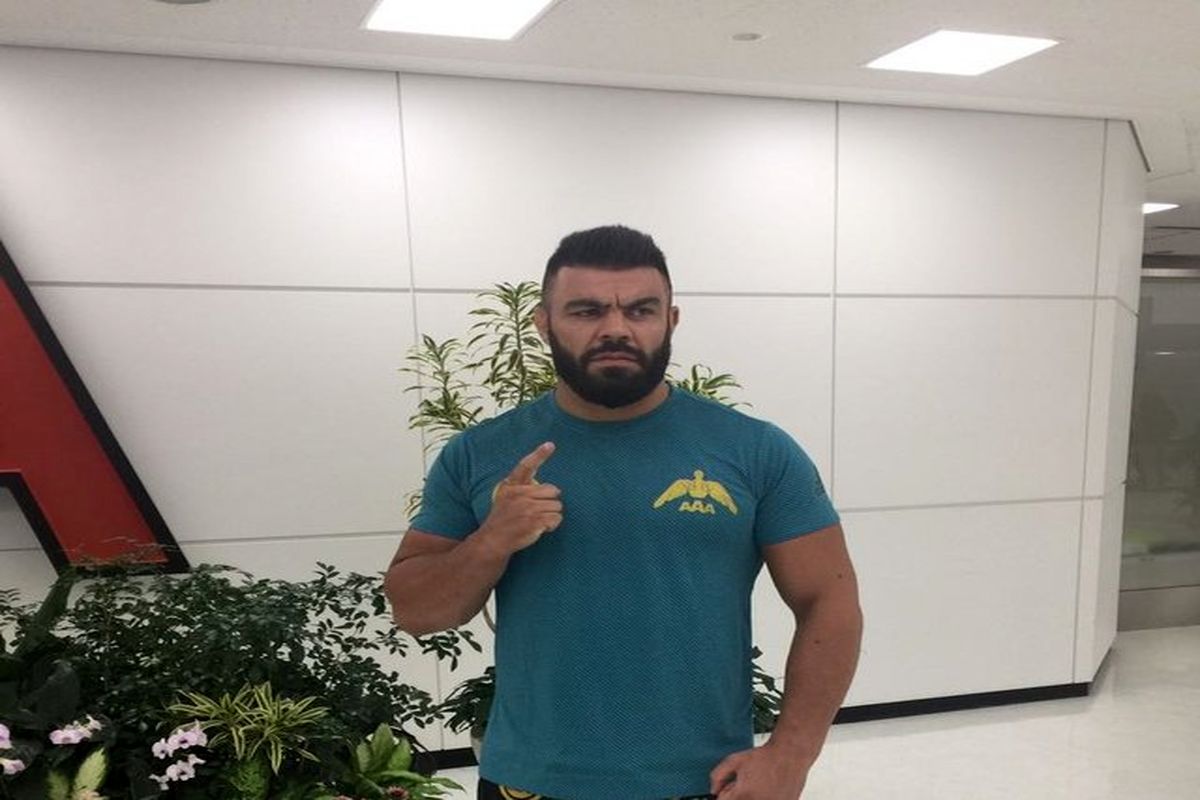 امیر علی اکبری