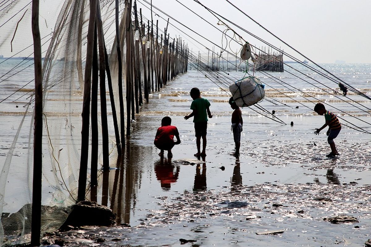 صید سنتی با مشتا