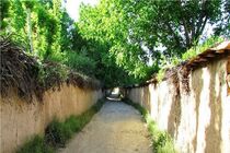 ایجاد ارزش اقتصادی، کلید اصلی حفظ باغ‌های شیراز است