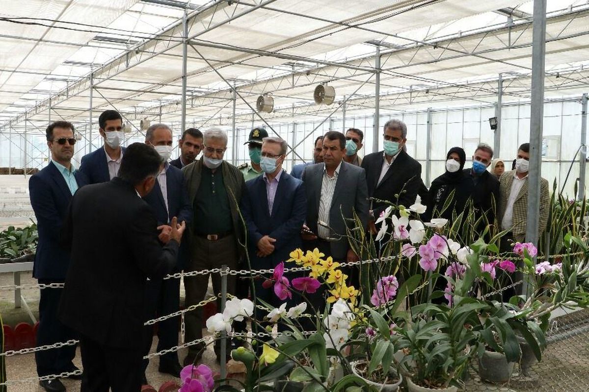 سفر زاهدی وفا معاون اقتصادی معاون اول رئیس جمهور به مازندران 