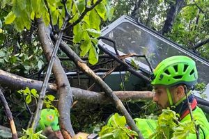 کشته شدن ۴ تن در حادثه سقوط تله‌کابین در جنوب ایتالیا