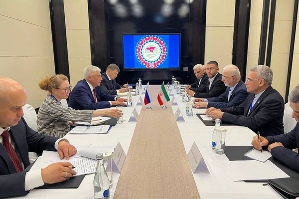 وزیر کشور ایران و وزیر داخلی فدراسیون روسیه دیدار کرد