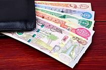 بیش از ۵۴۱ هزار نفر ارز اربعین دریافت کردند