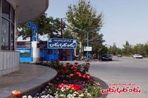 متاسفانه مردم رویکرد مثبتی نسبت به ماست‌بندی‌های سنتی دارند