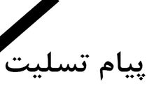 پیام تسلیت مدیران و کارکنان بانک ملی ایران در پی شهادت سردار سلیمانی