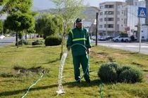 اختصاص 15 میلیارد ریال برای استفاده از پساب در فضای سبز قم