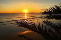 هوا خوزستان گرمتر می شود/ورود موج بارشی از اواخر هفته جاری