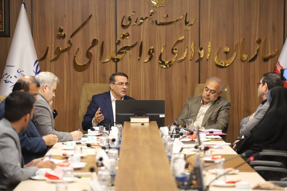 رفیع زاده