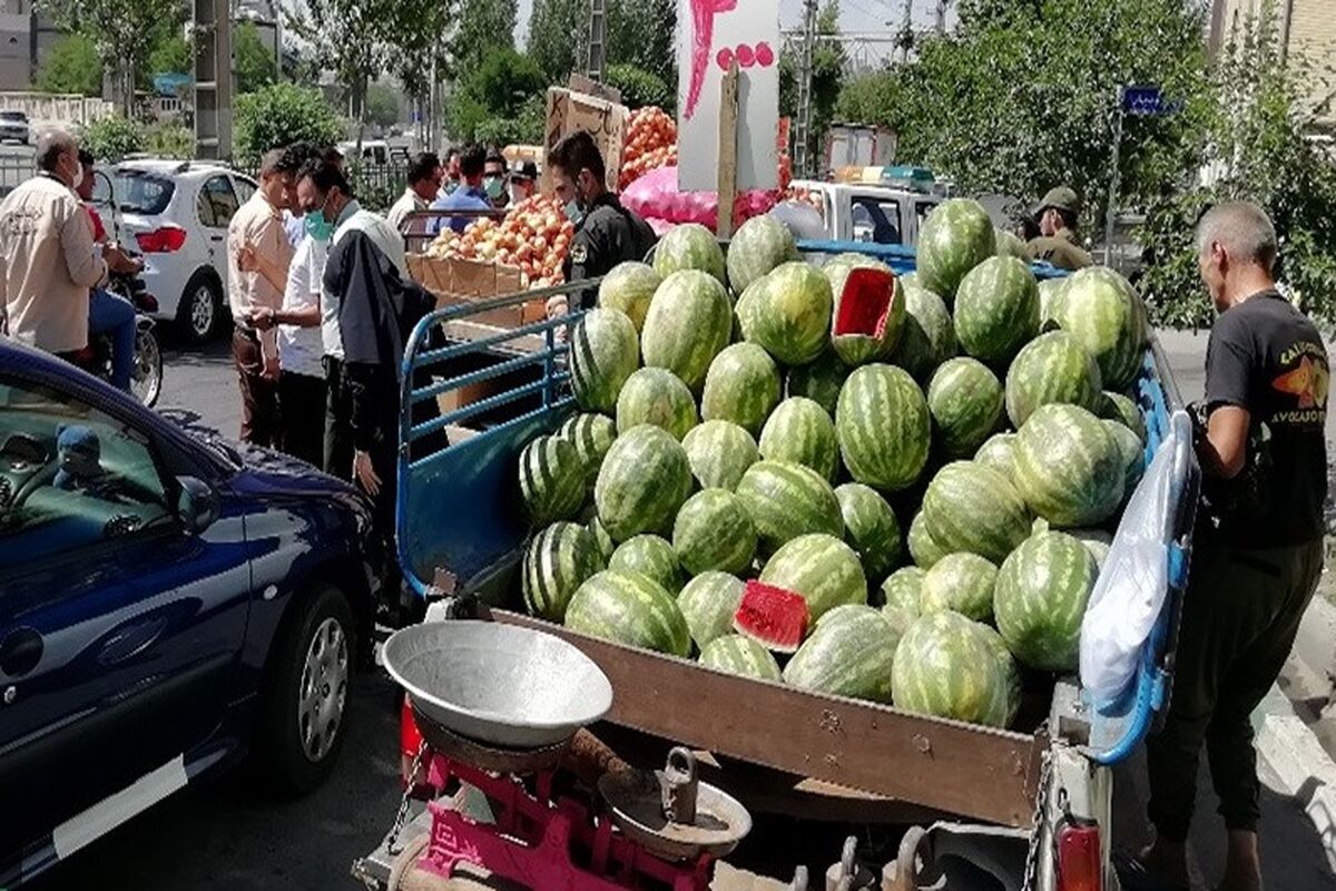 انضباط شهری