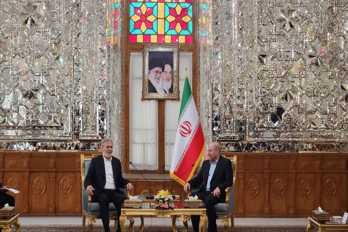 زیاد نخاله