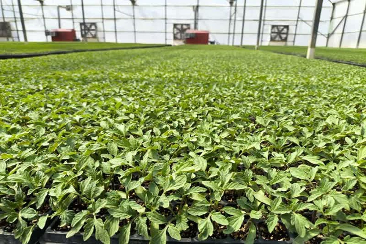 جهاد کشاورزی فارس