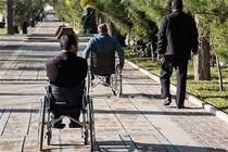 ایجاد بیش از 200 شغل مستقیم توسط انجمن ضایعات نخاعی هرمزگان