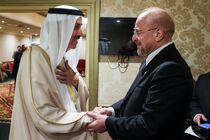 محمدباقر قالیباف با رئسای مجالس مصر، امارات و نامیبیا دیدار کرد
