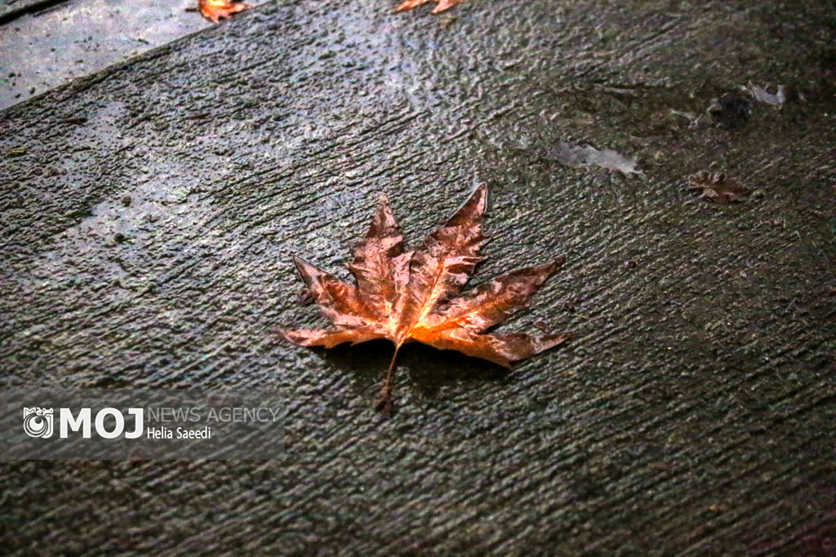 باران پاییزی تهران