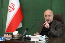 ورود رییس مجلس شورای اسلامی به حادثه رخ داده برای مهسا امینی