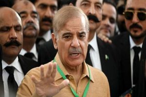 Pakistan's new Prime Minister elected