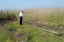 جلوگیری از تصرف اراضی تالاب انزلی