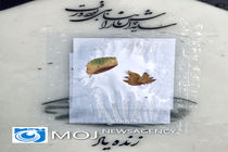 آسوده بخواب