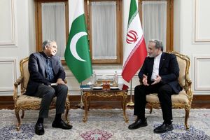 دیدار وزیر کشور پاکستان با عراقچی