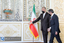 گروسی با امیرعبداللهیان دیدار می‌کند