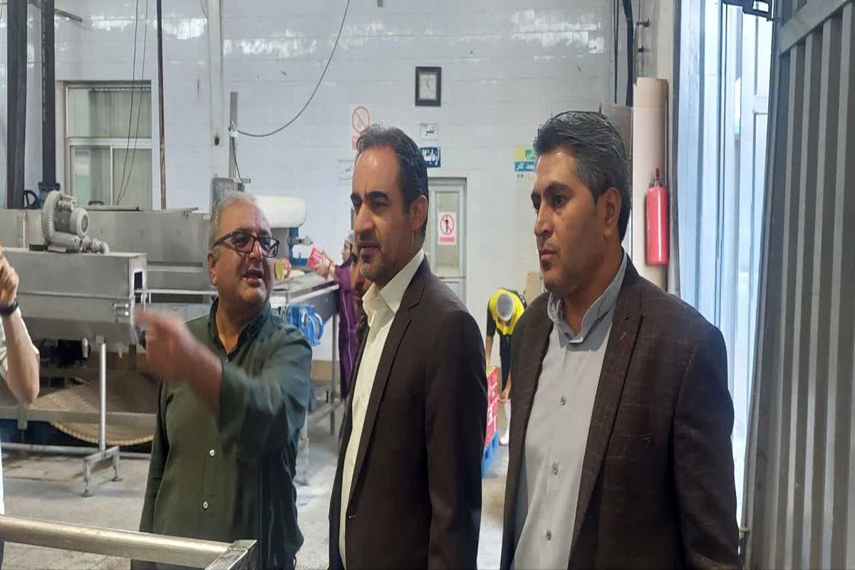 شهرک صنعتی فارس 