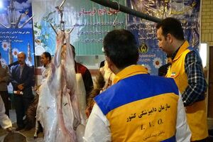 نظارت بر ذبح شرعی و بهداشتی دام های قربانی شهروندان