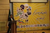 ضرورت تقویت تفکر اقتصاد تعاونی و خصوصی‌سازی /برای حل مشکلات باید اختیارات بیشتری به استان‌ها واگذار شود