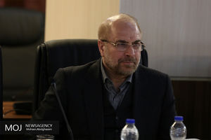 مجلس اگر حرفی می ‌زند باید پشت آن اقدامی باشد