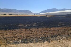 آتش‌سوزی در مزارع گندم روستای دستگرد امامزاده