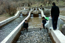در چند ماه آینده فاز اول طرح شهرک شیلاتی اندیمشک به بهره‌برداری میرسد