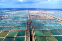 افتتاح ۳ طرح تکثیر و پرورش میگو در سیریک