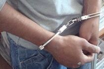 دستگیری سارق سیم برق در فلاورجان / کشف 10 فقره سرقت سیم برق 