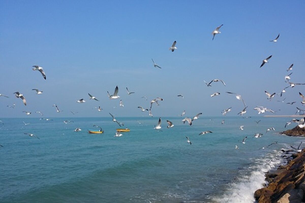 دریا