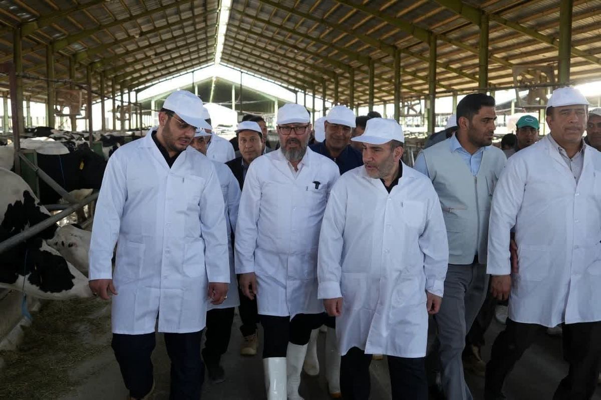 رئیس بنیاد مستضعفان در کرمانشاه