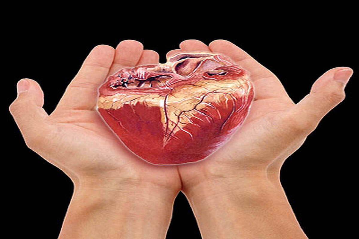 اهدای عضو