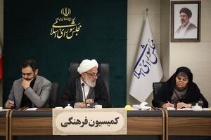 آئین‌نامه قانون جوانی جمعیت اصلاح می‌شود/ 180 هزار واحد زمین در مرحله آماده‌سازی برای واگذاری