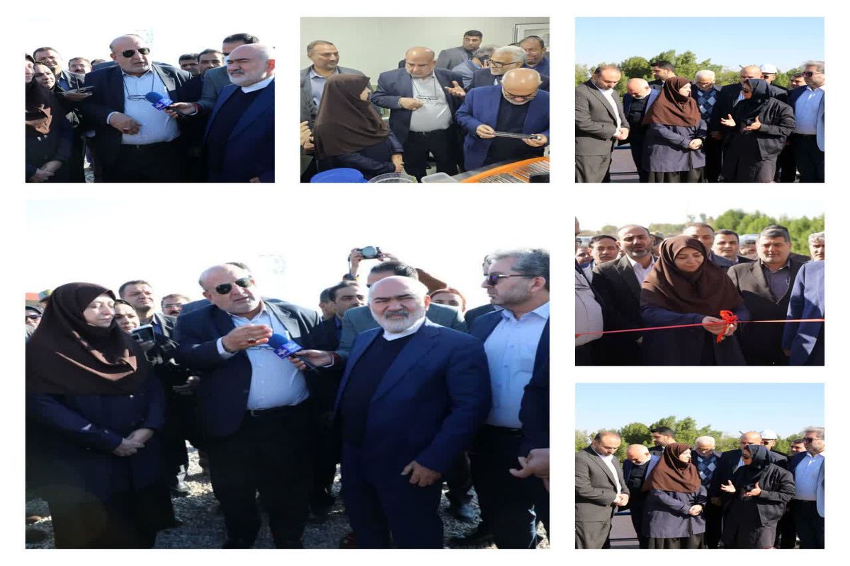 توسعه نیشکر 