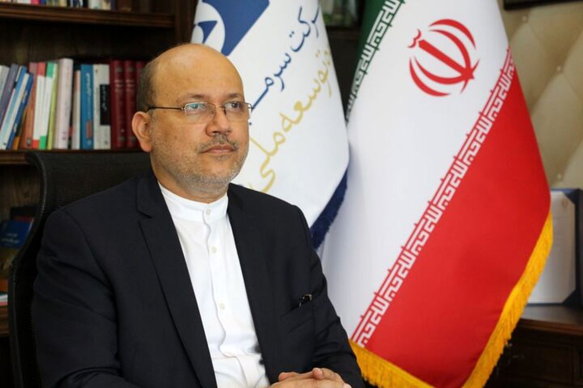 سرپرست شرکت سرمایه گذاری گروه توسعه ملی