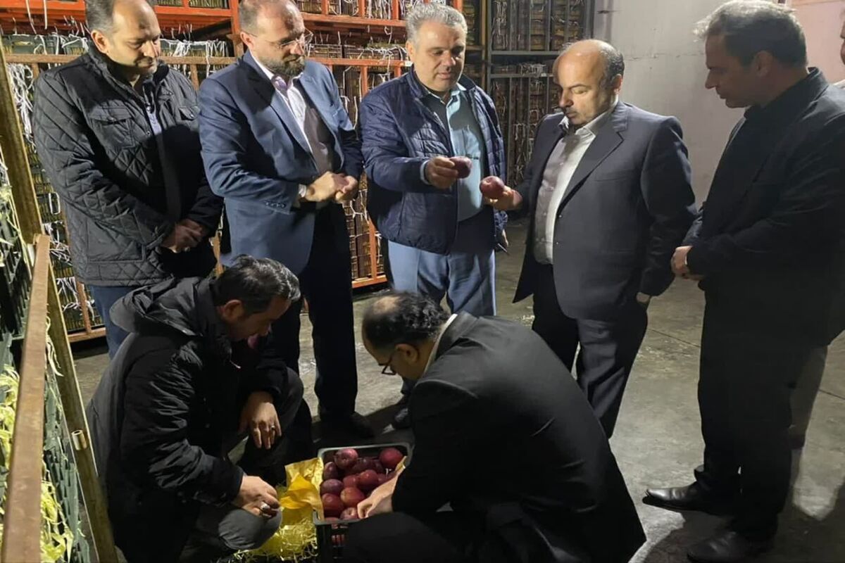 معاون اقتصادی قزوین