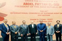 دیوان محاسبات ایران آماده گسترش همکاری تخصصی با عراق، پاکستان و هند است