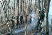 هشدار نسبت به آتش سوزی در جنگل‌ها و مراتع